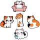 3D Sticker set of 5 Cat