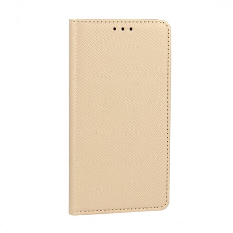 Samsung Galaxy Note 10 Testa Magnet Case Gold